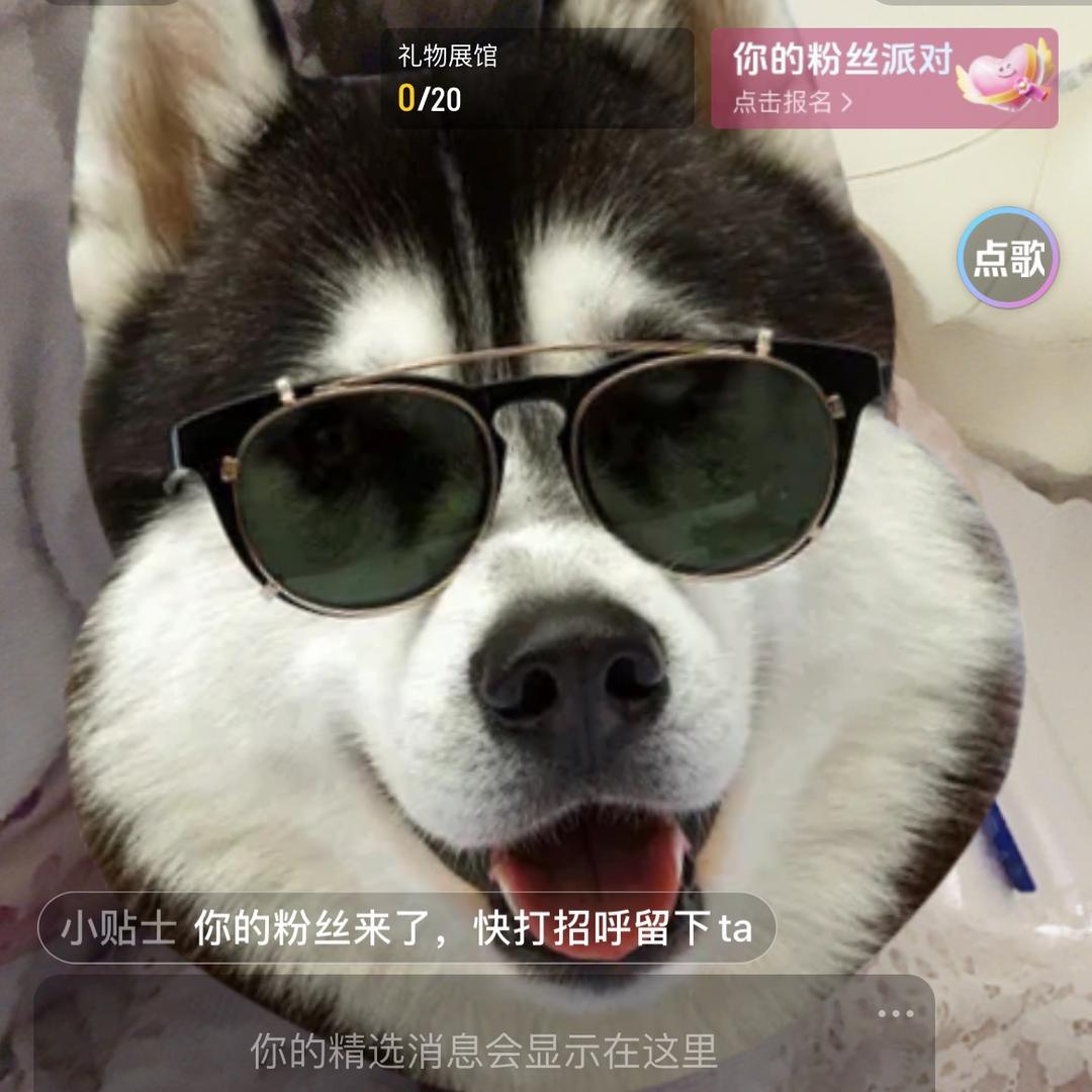 王家小宝bei🐶🐱