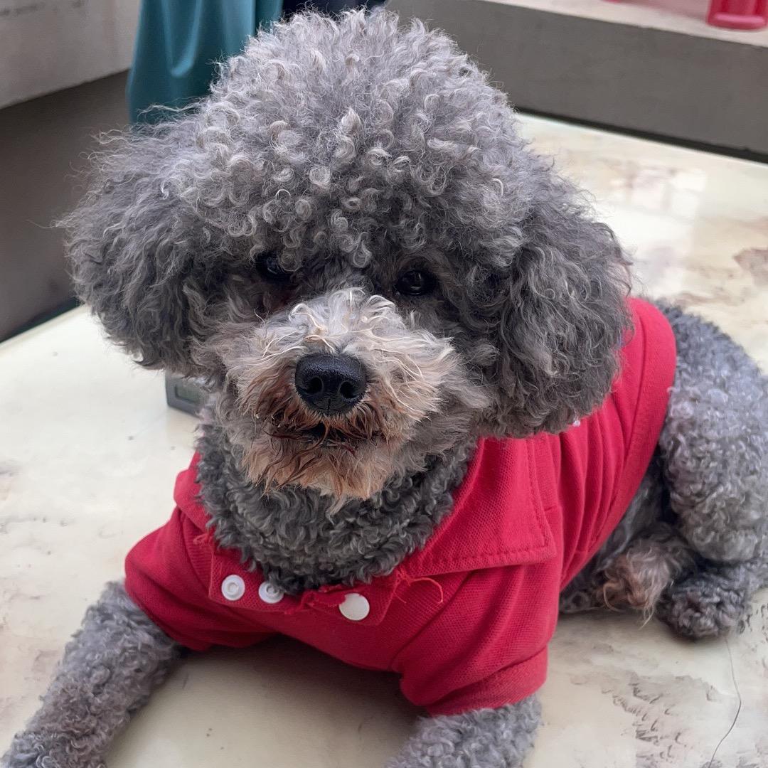 杰哥无人机咨询顾问