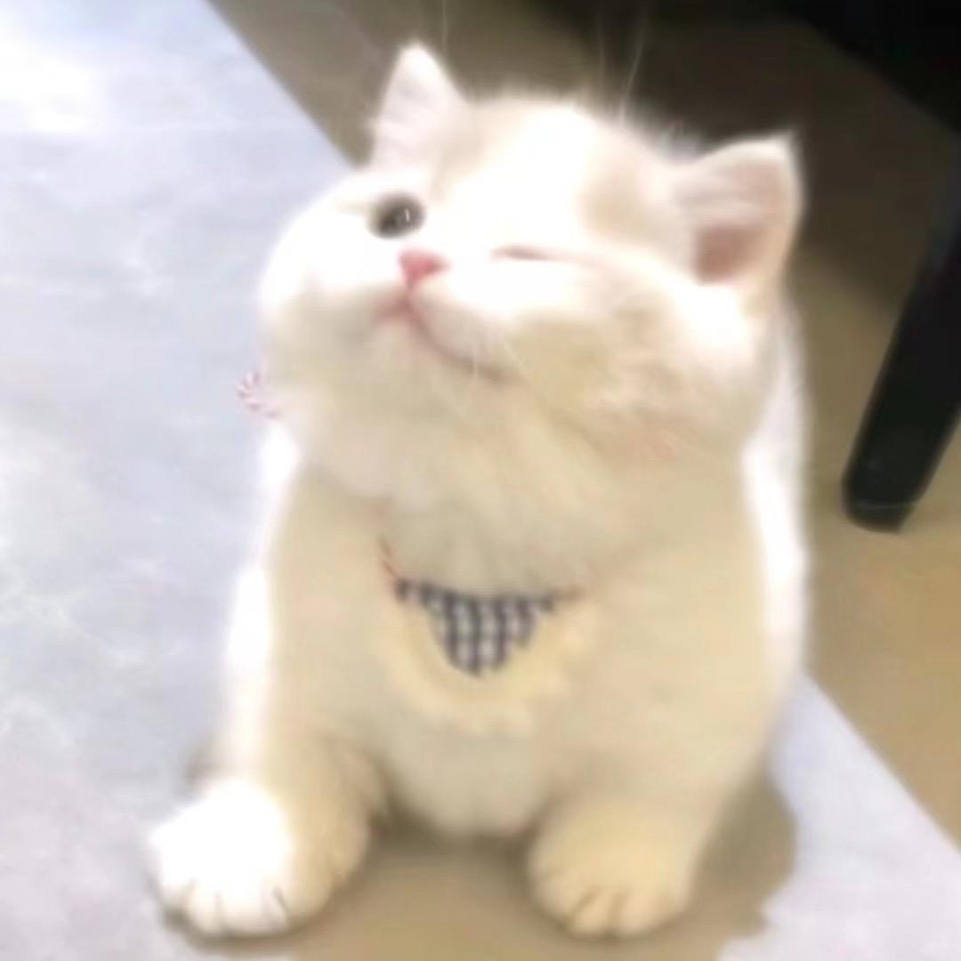 小今$