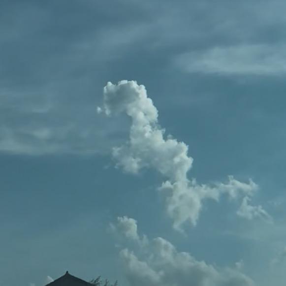 天马行空 马到成功