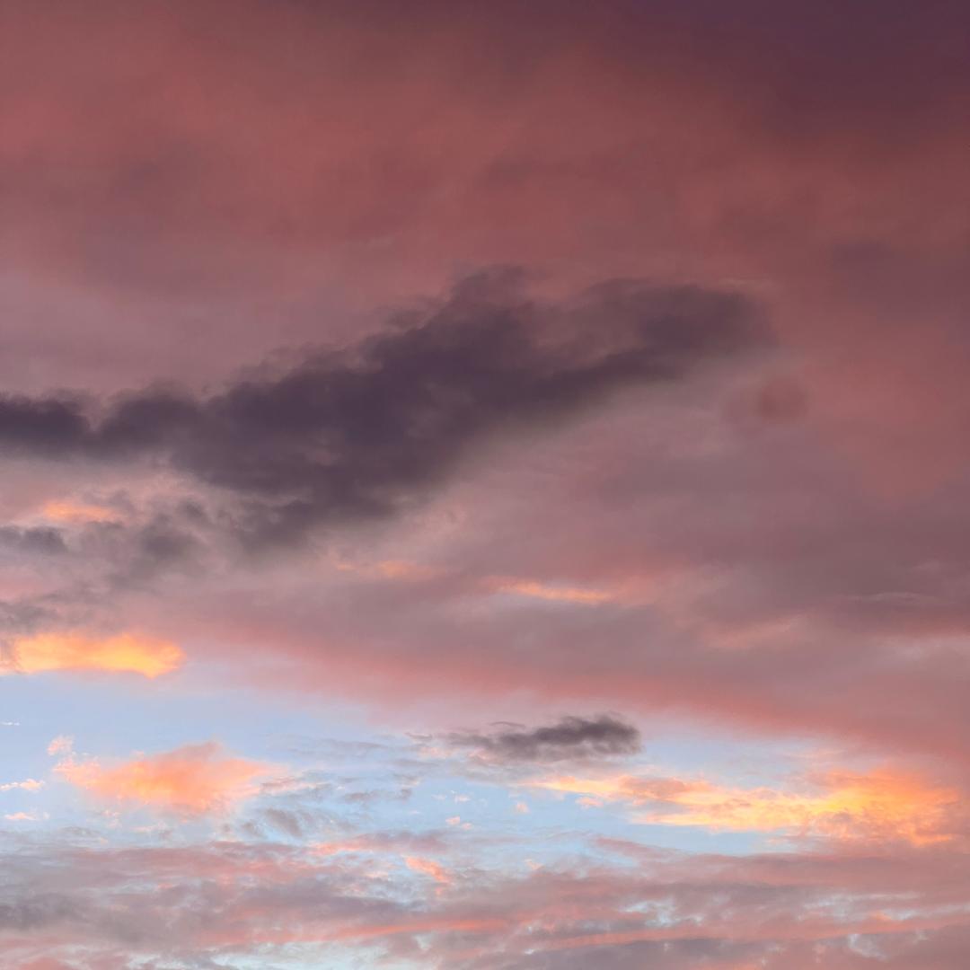 一个杀死自我的病人