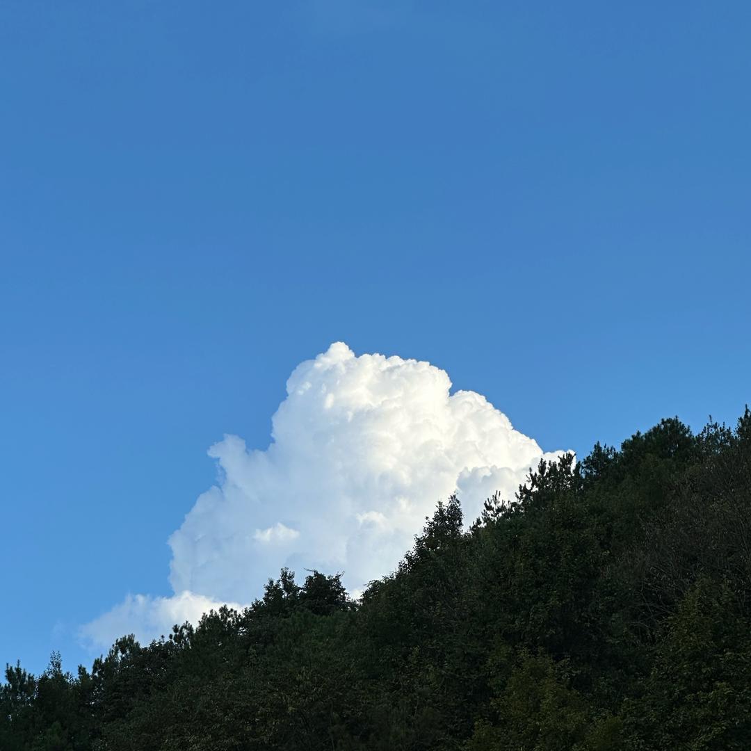 XXXFFUGLY  UB9110220