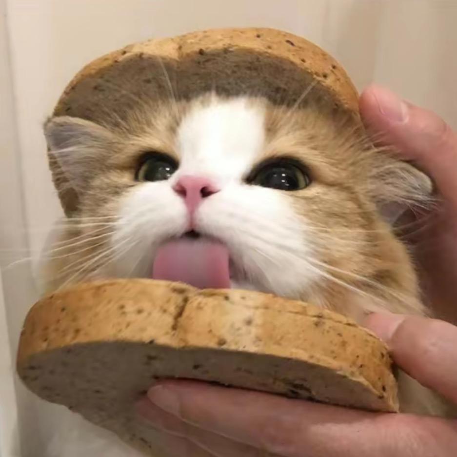 阿鱼