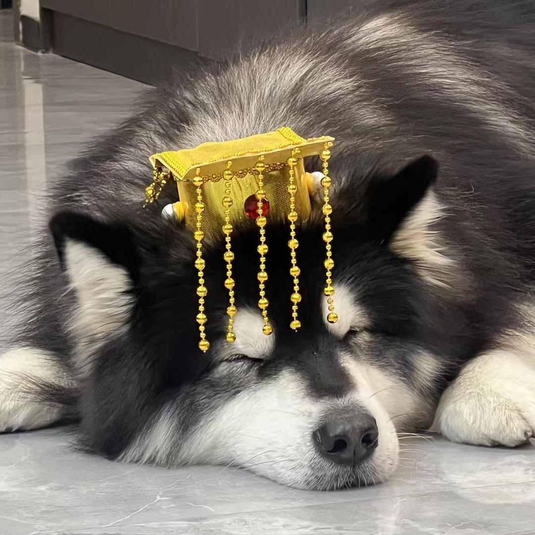 炸毛馒头