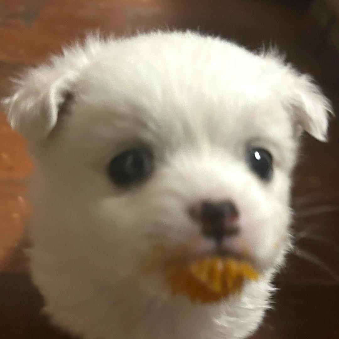姜姜O.o