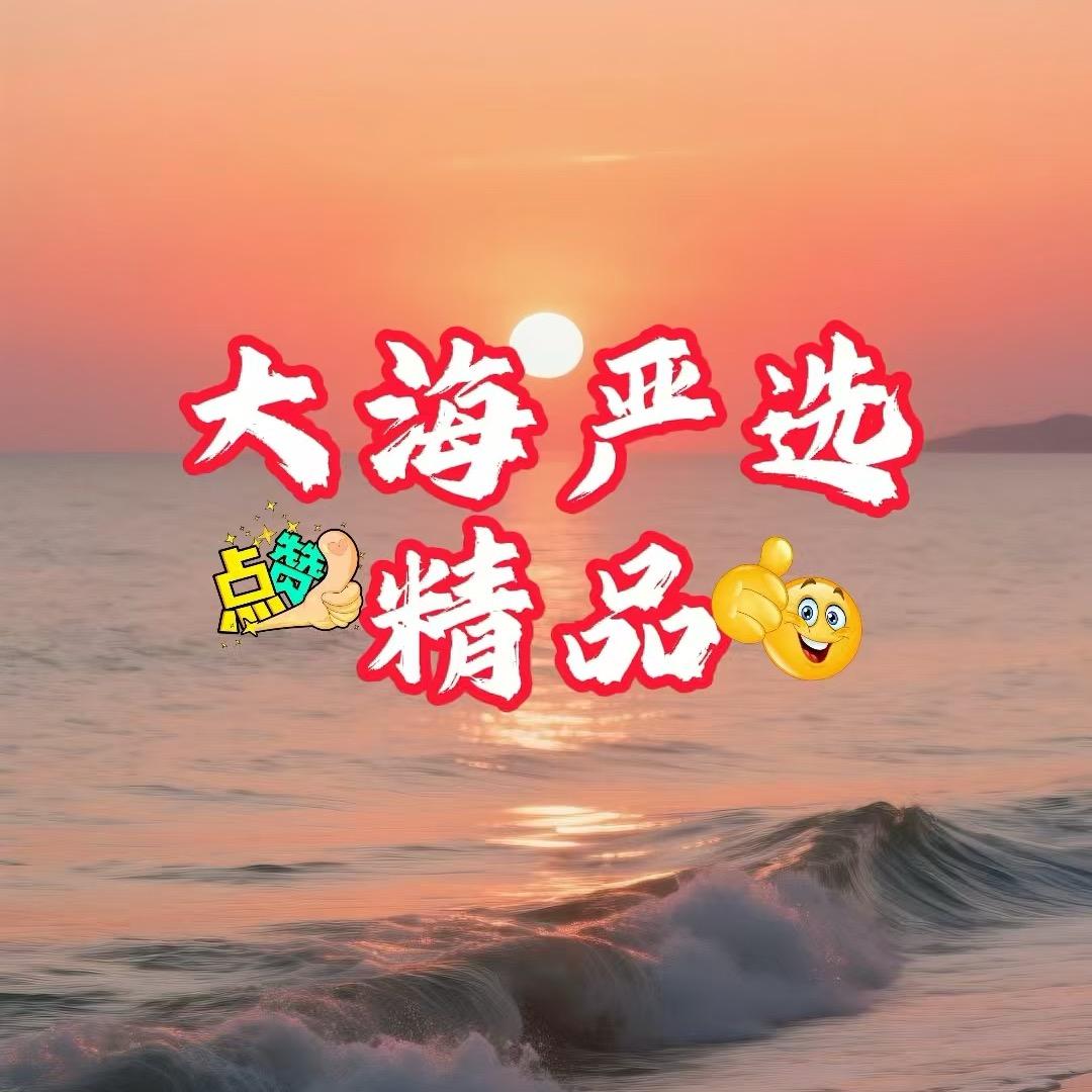 大海精品
