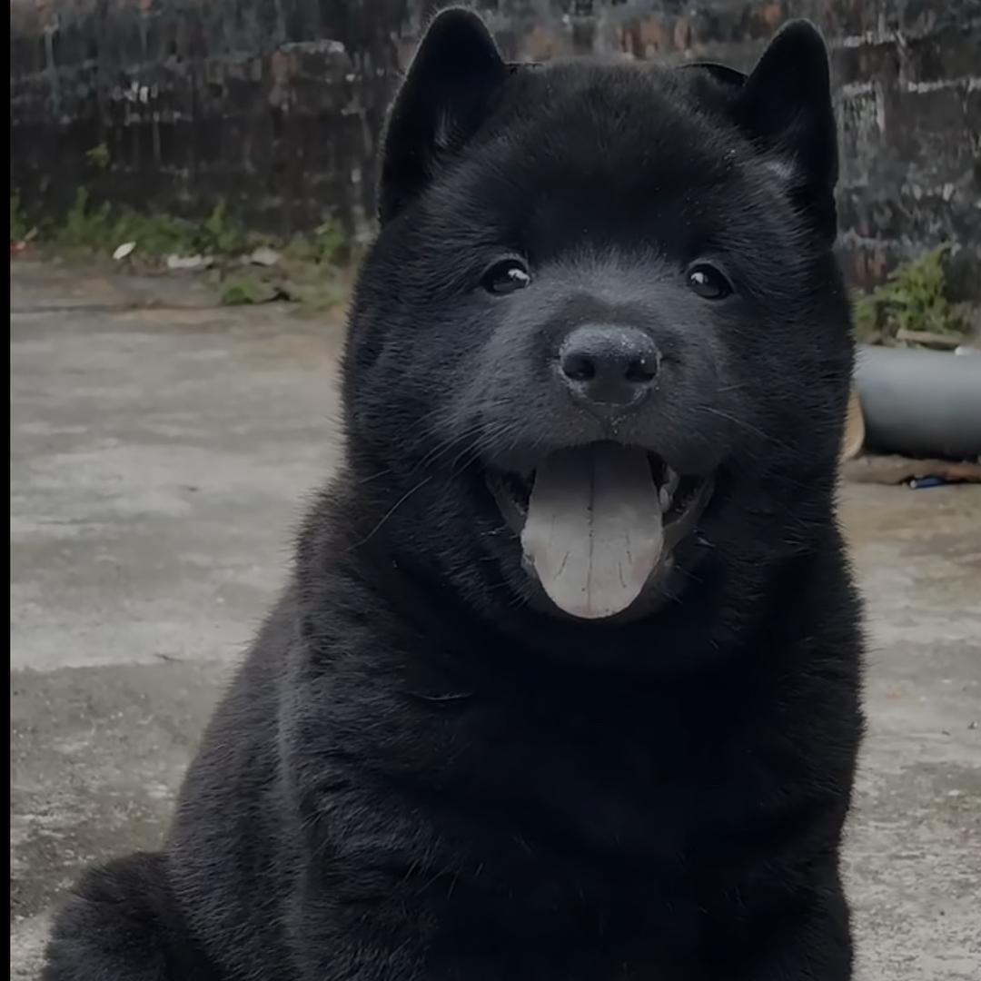 海惠桂英嘉恒优品店