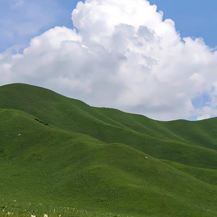 大漠孤雁风飞沙