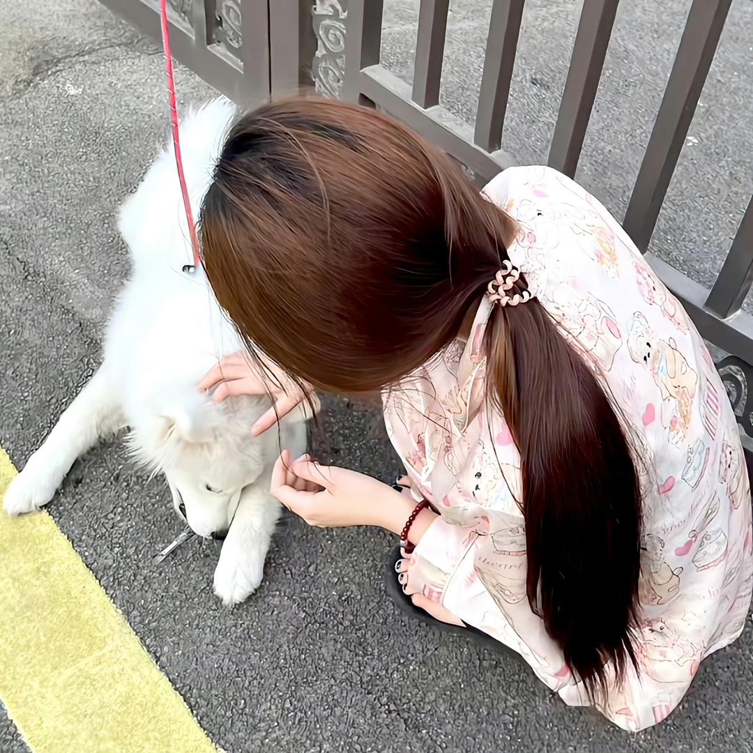 钦愿