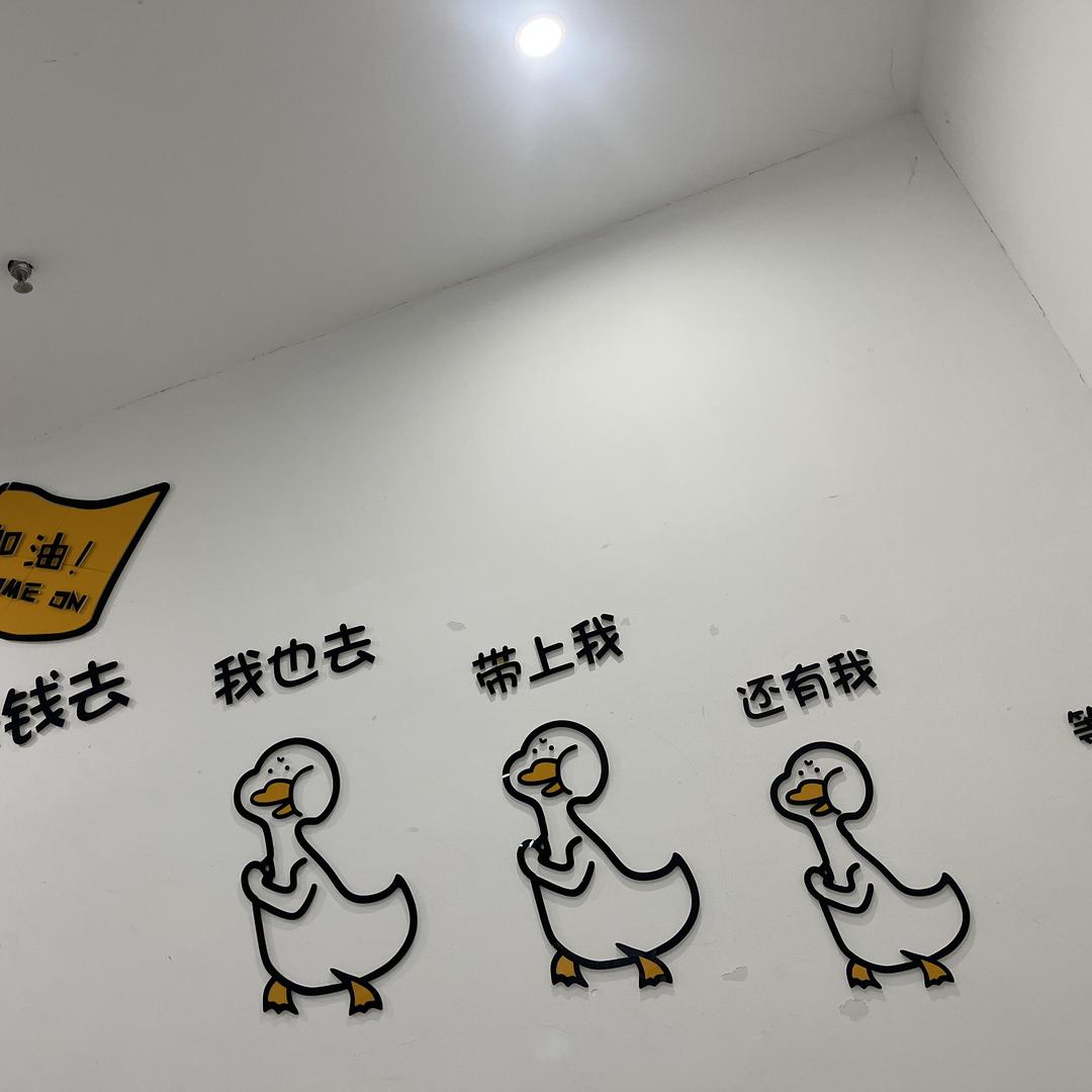 白贡仙1号茶仓