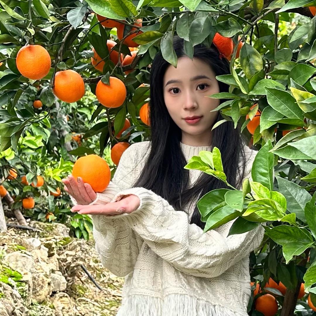 反骨小橙宝