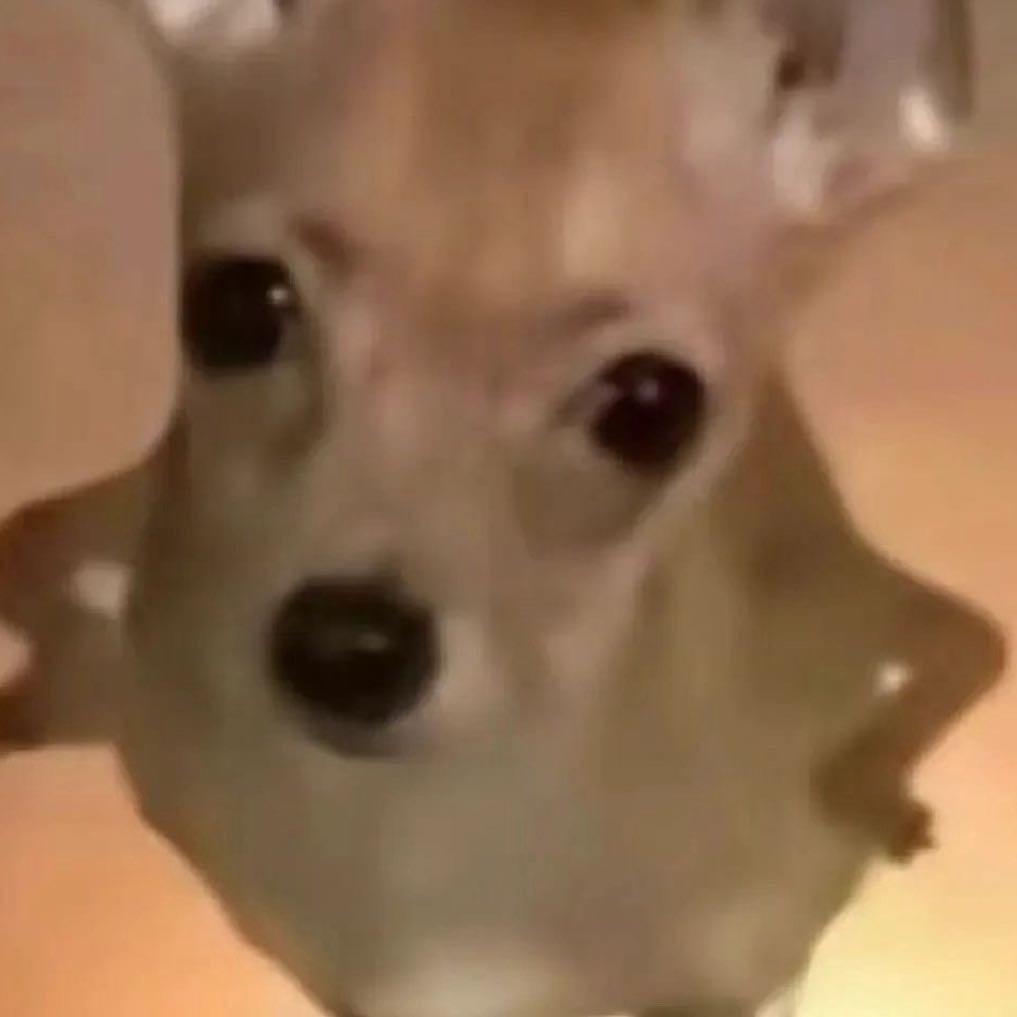 你烦不烦