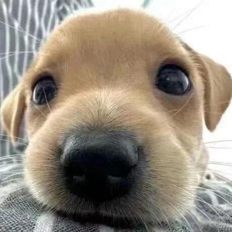 发呆