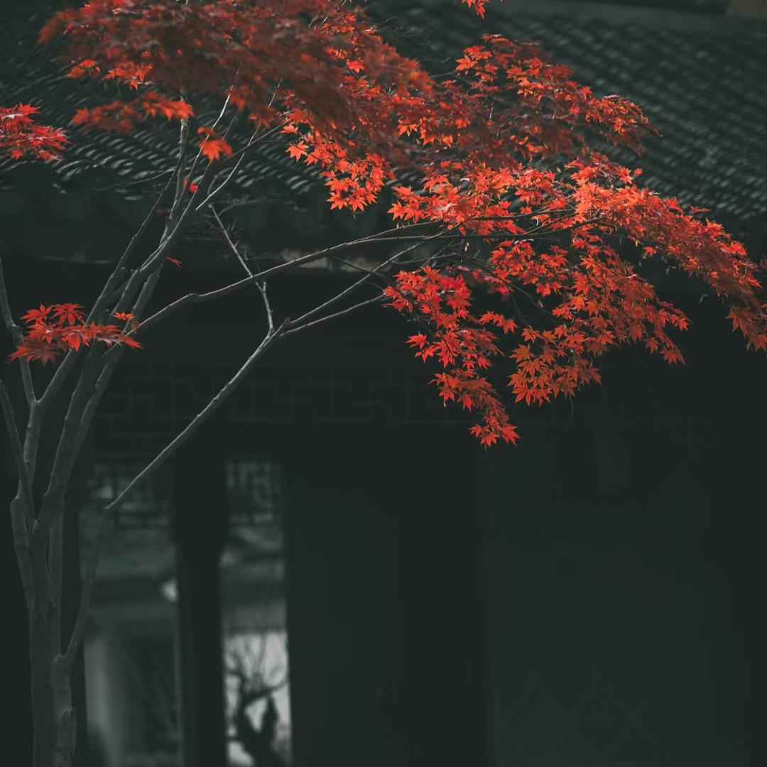 瞐愔🍃