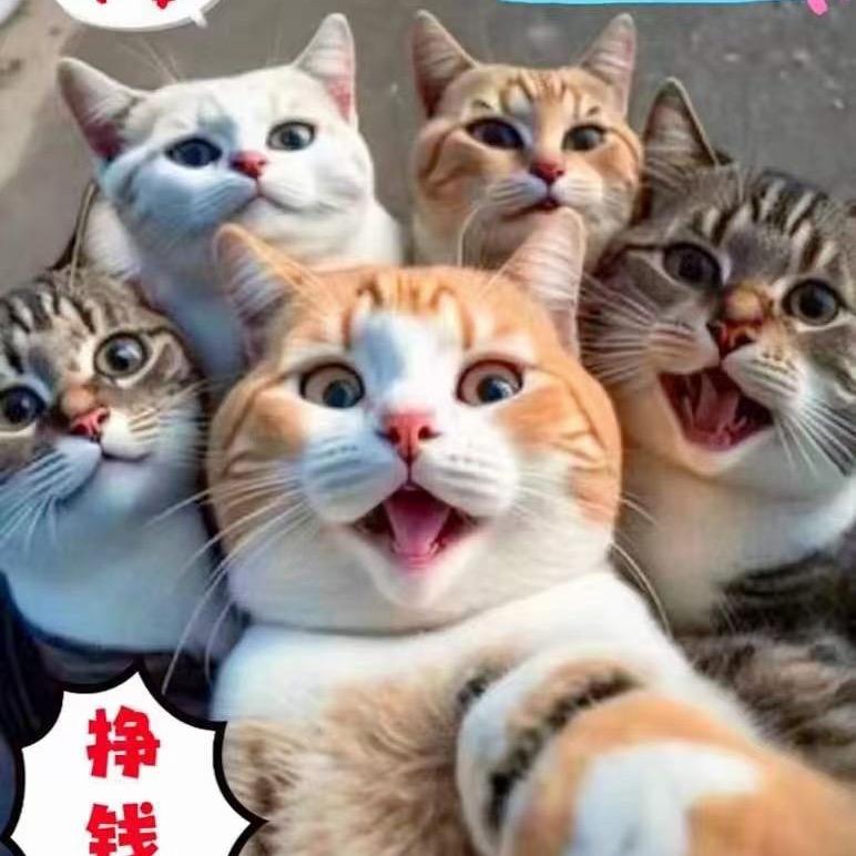 麻烦少加点闫