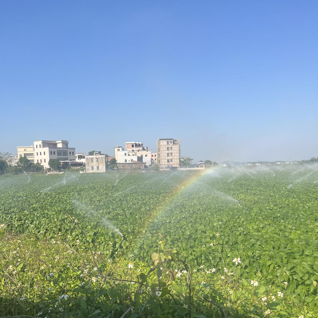 盛裕食品贸易商行