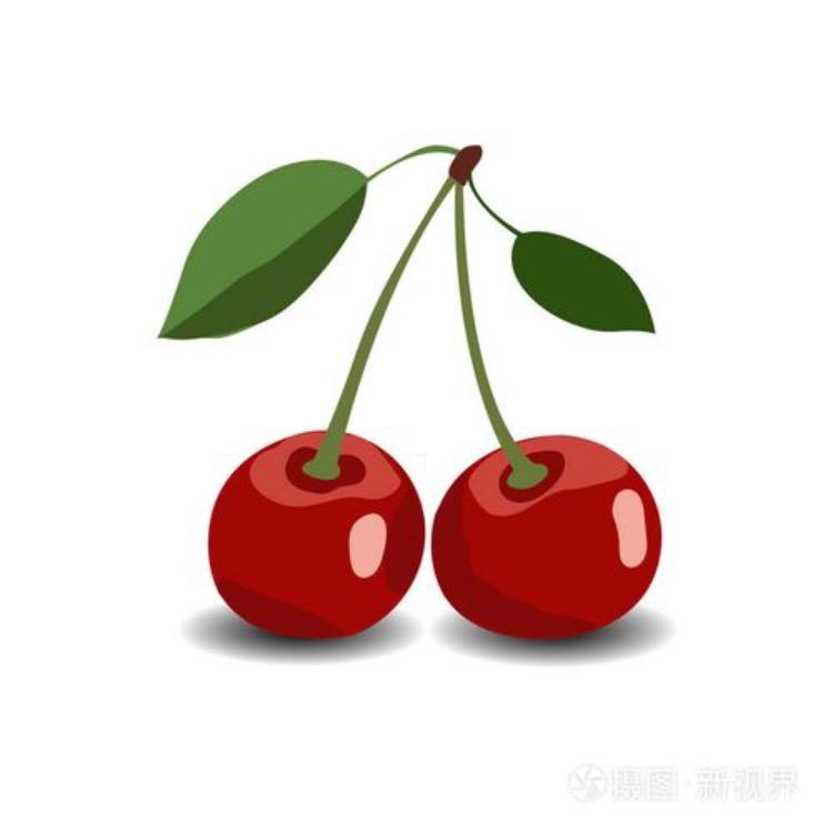 樱桃女包