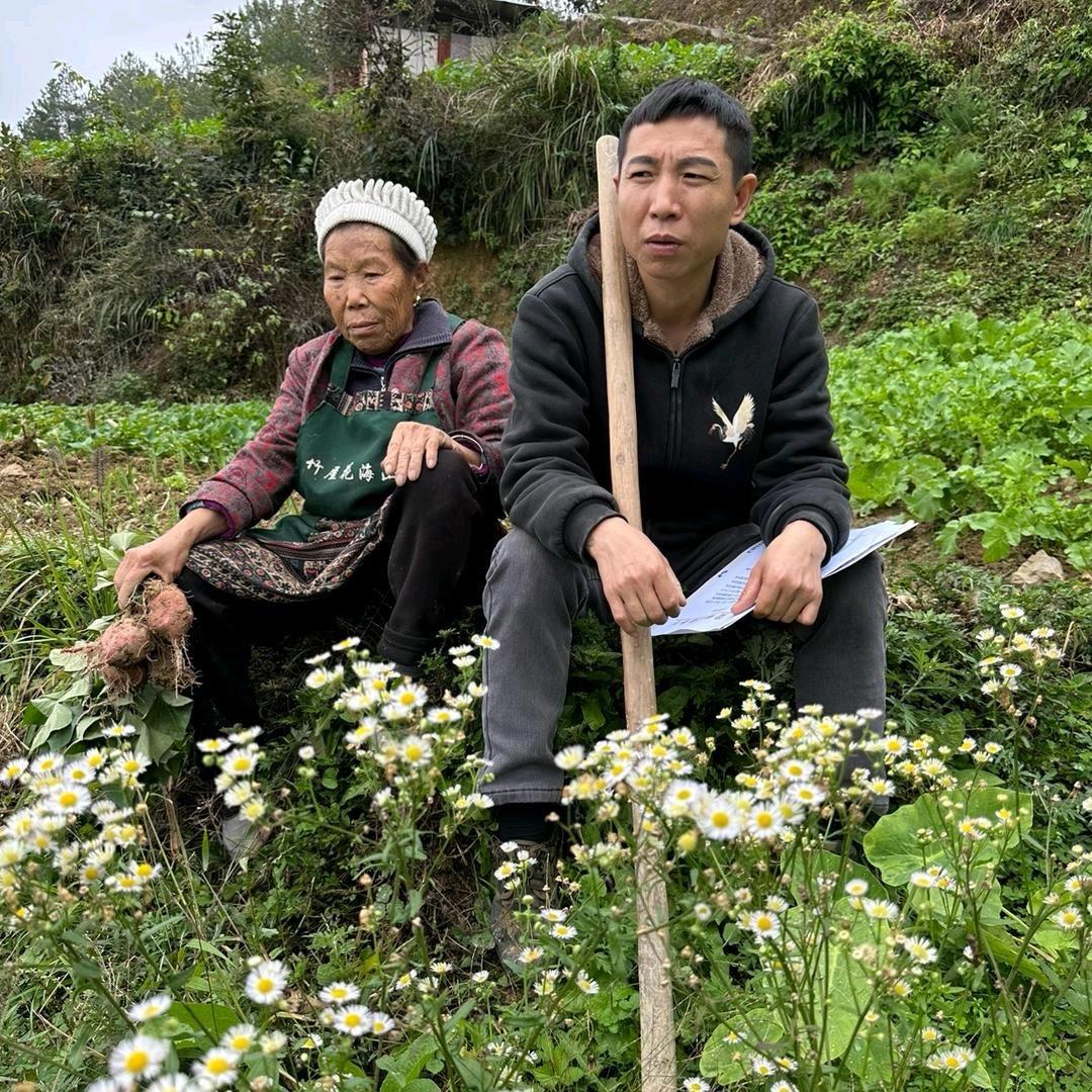 诚信阿飞