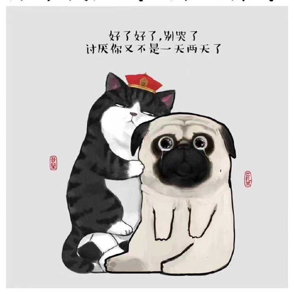 小虾米爱吃豆🥳🥳