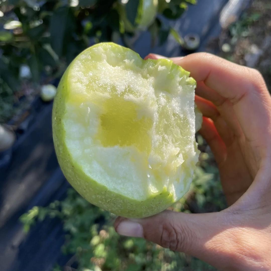果时小欢喜