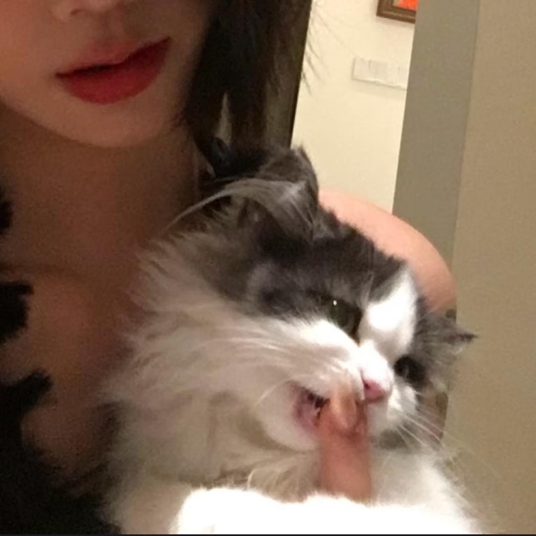 短发· 姜᳐姜᳐੭ﾞ