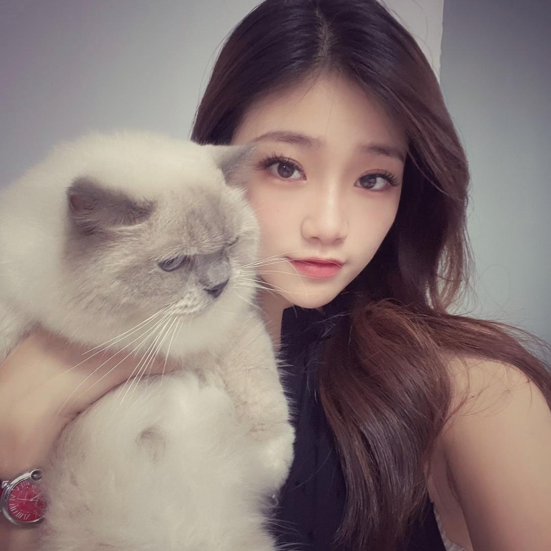 印象——WENWEN文文