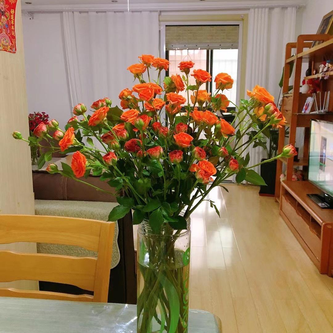 越努力越幸运