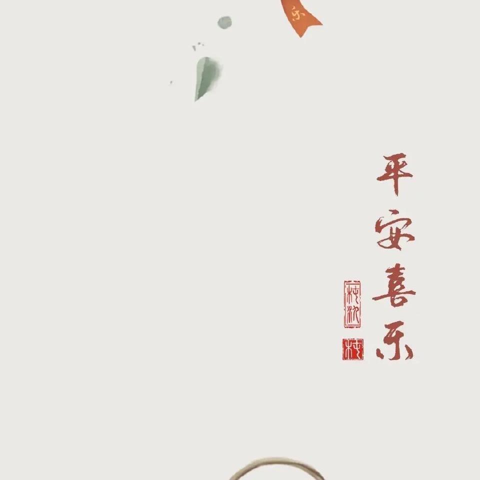 ZY逆光飞翔