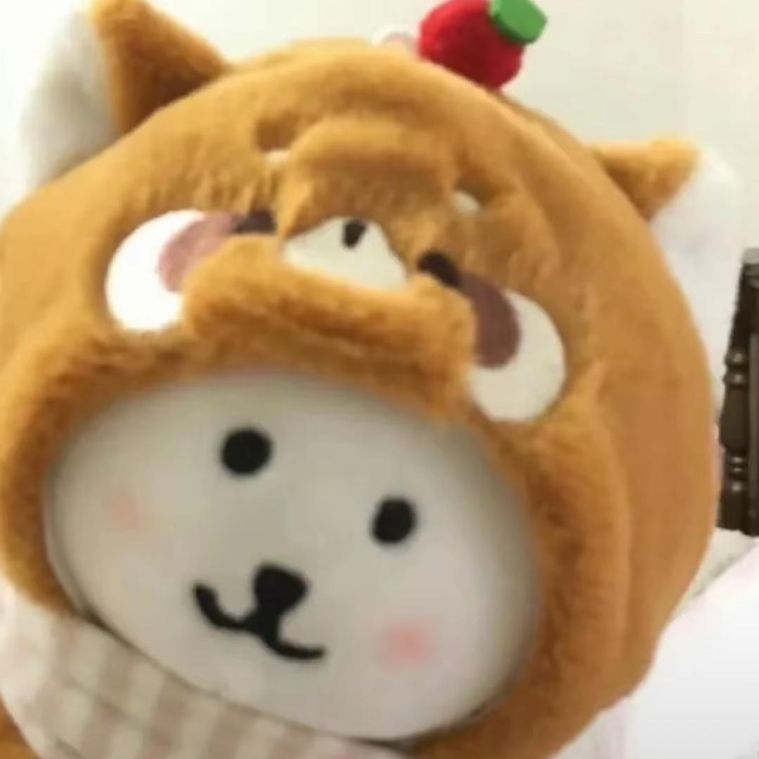 小锂