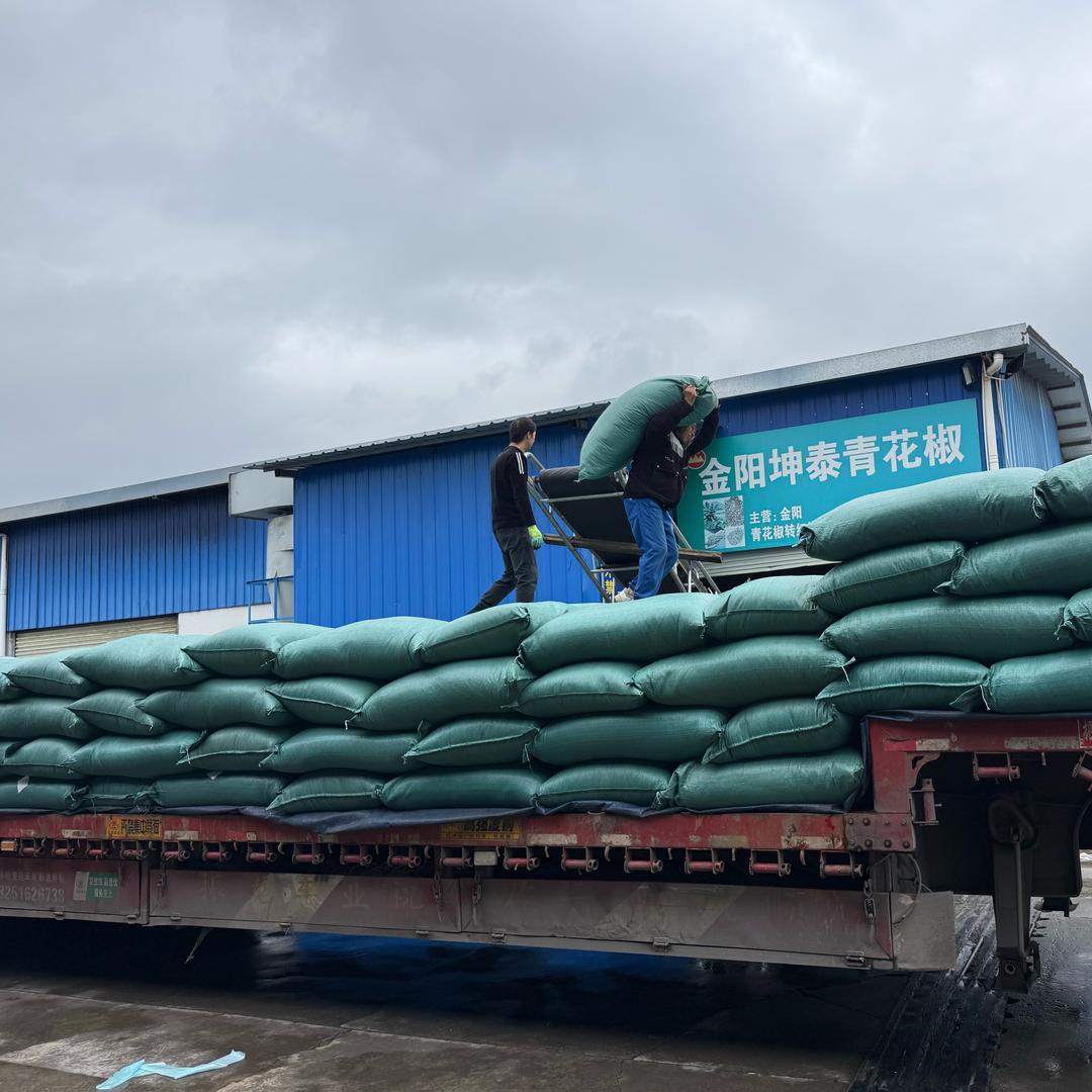 金阳人“四川”