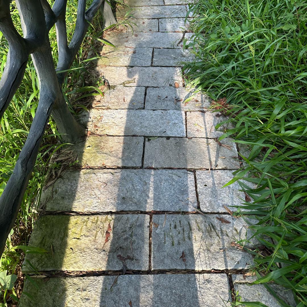 异想天开的90号