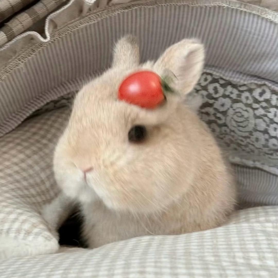 Nannan