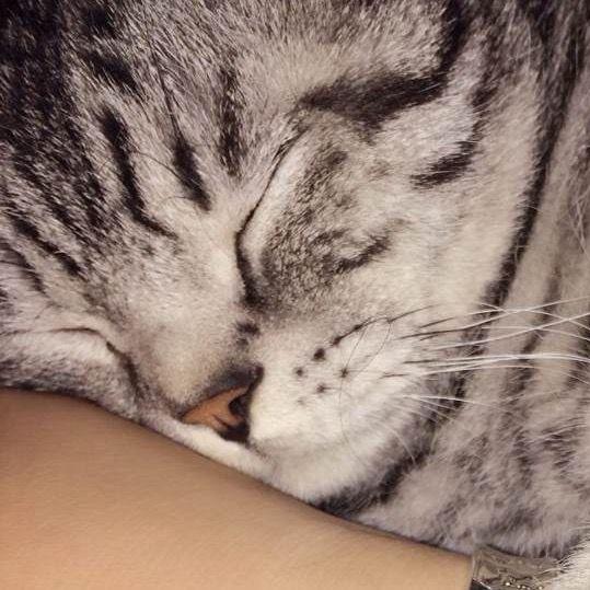 抓了葫芦娃的蛇精