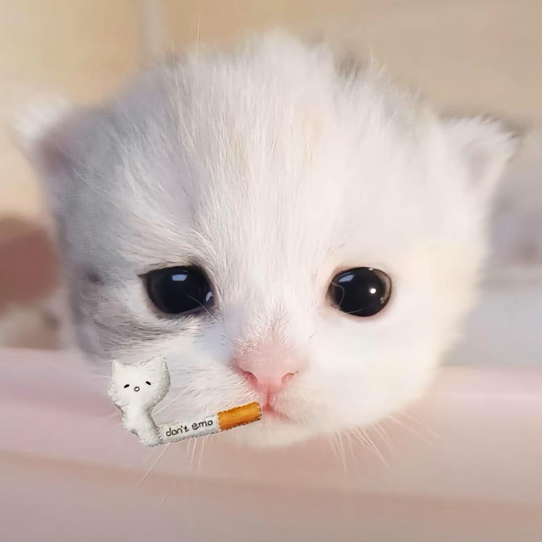 弈星（金铲铲）