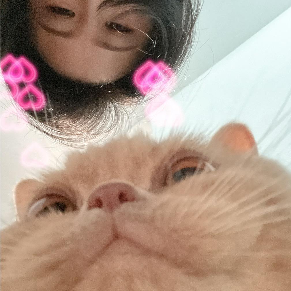 +🐟