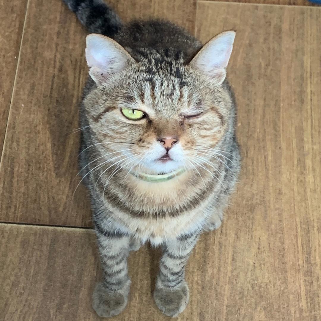 -大钱