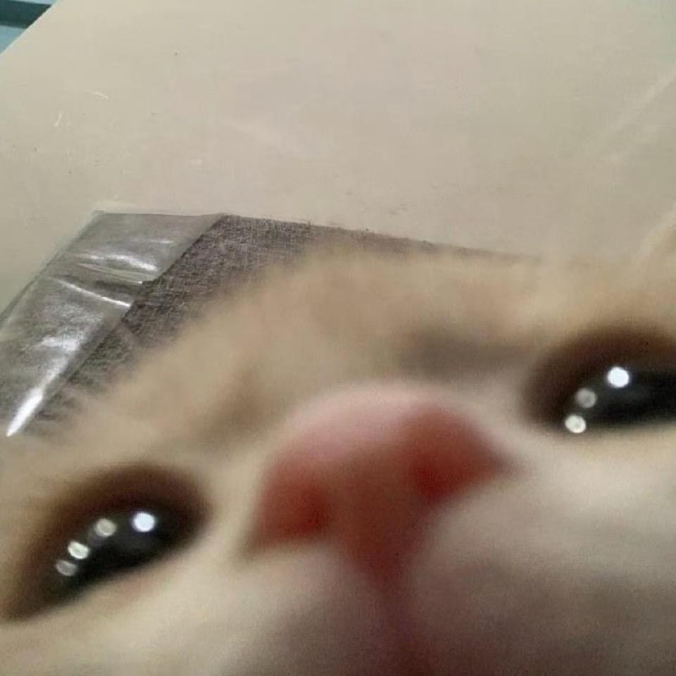 小羊bb机