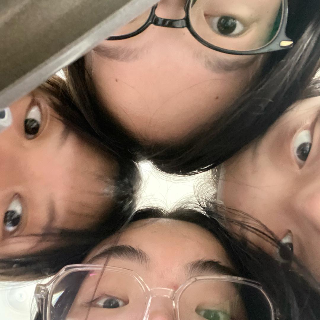 达不溜