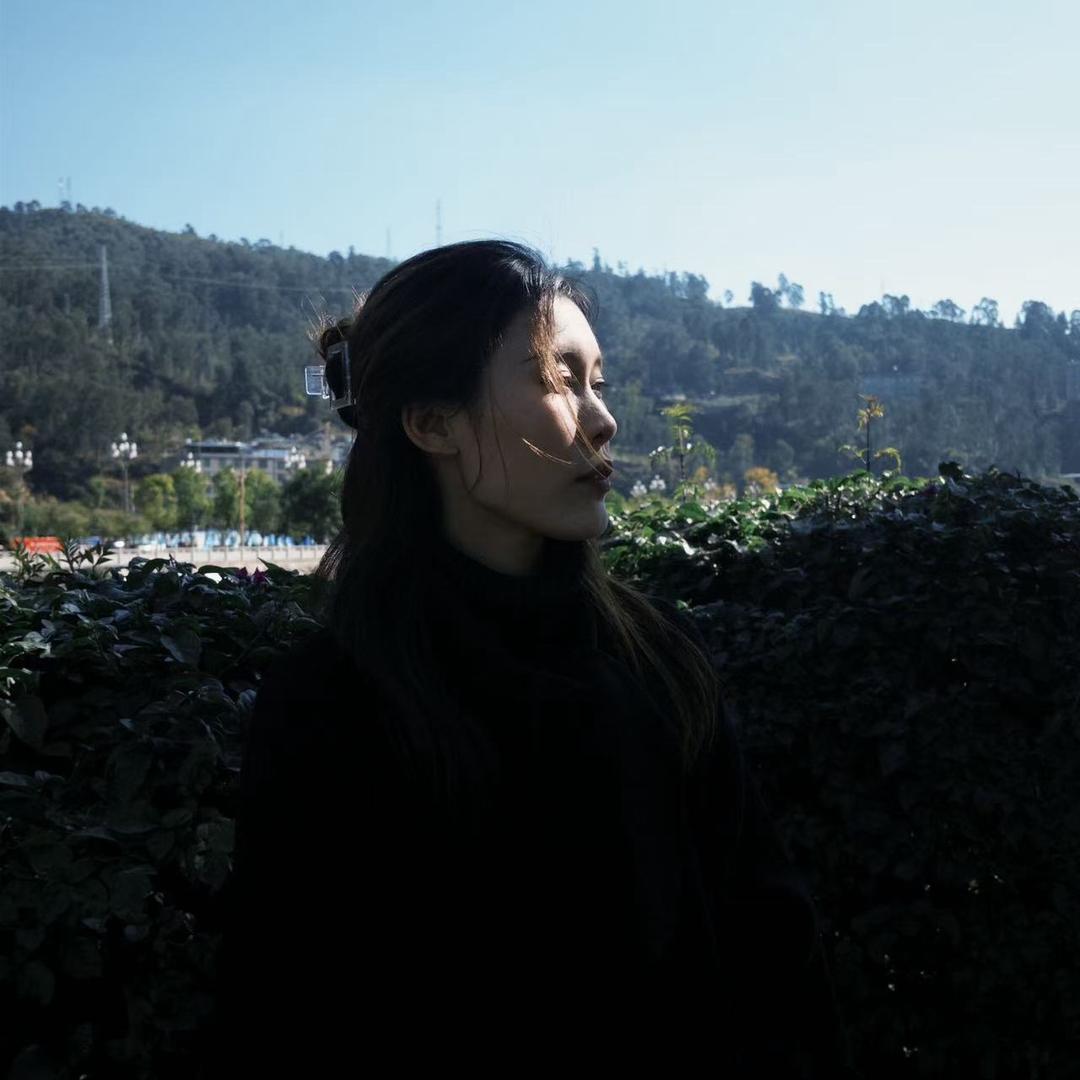 会东卖牛肉的小杨