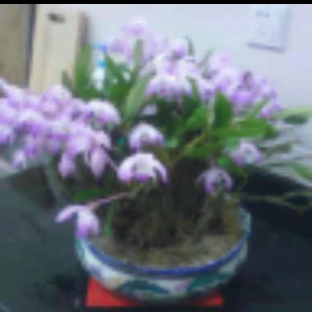 爱琴海-溪洲路店