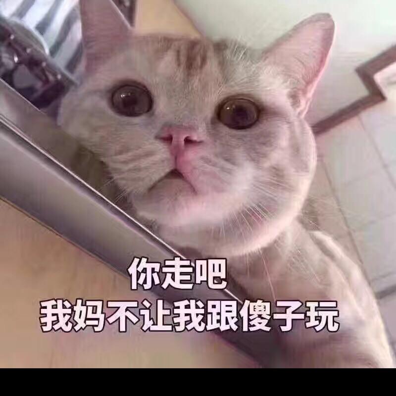 许哥 靠谱