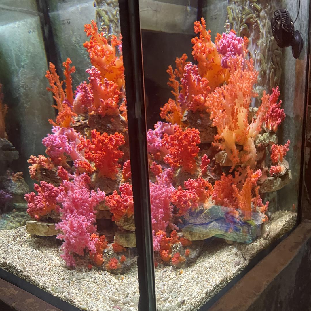 旭远生鲜蔬果店