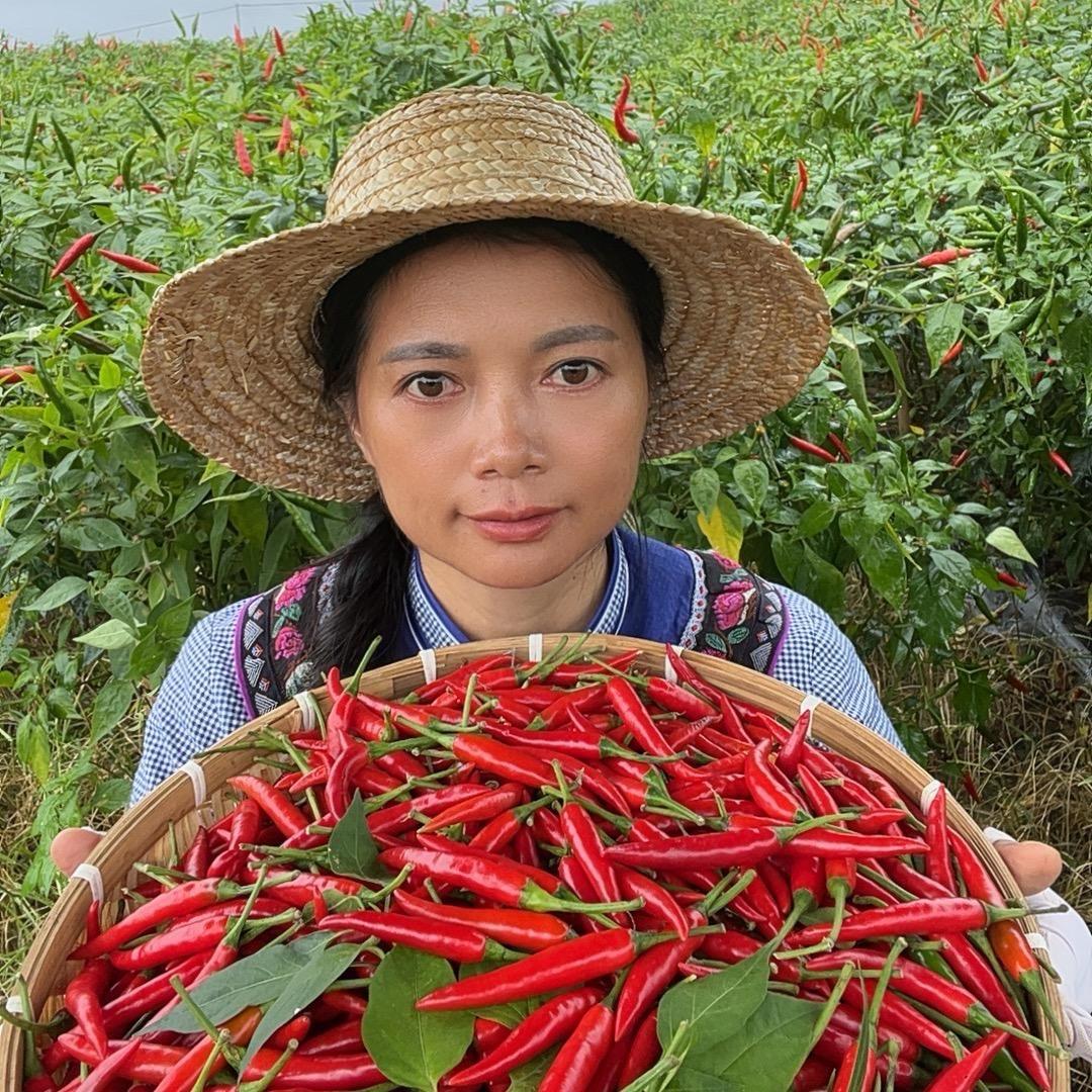 壮家二妹2