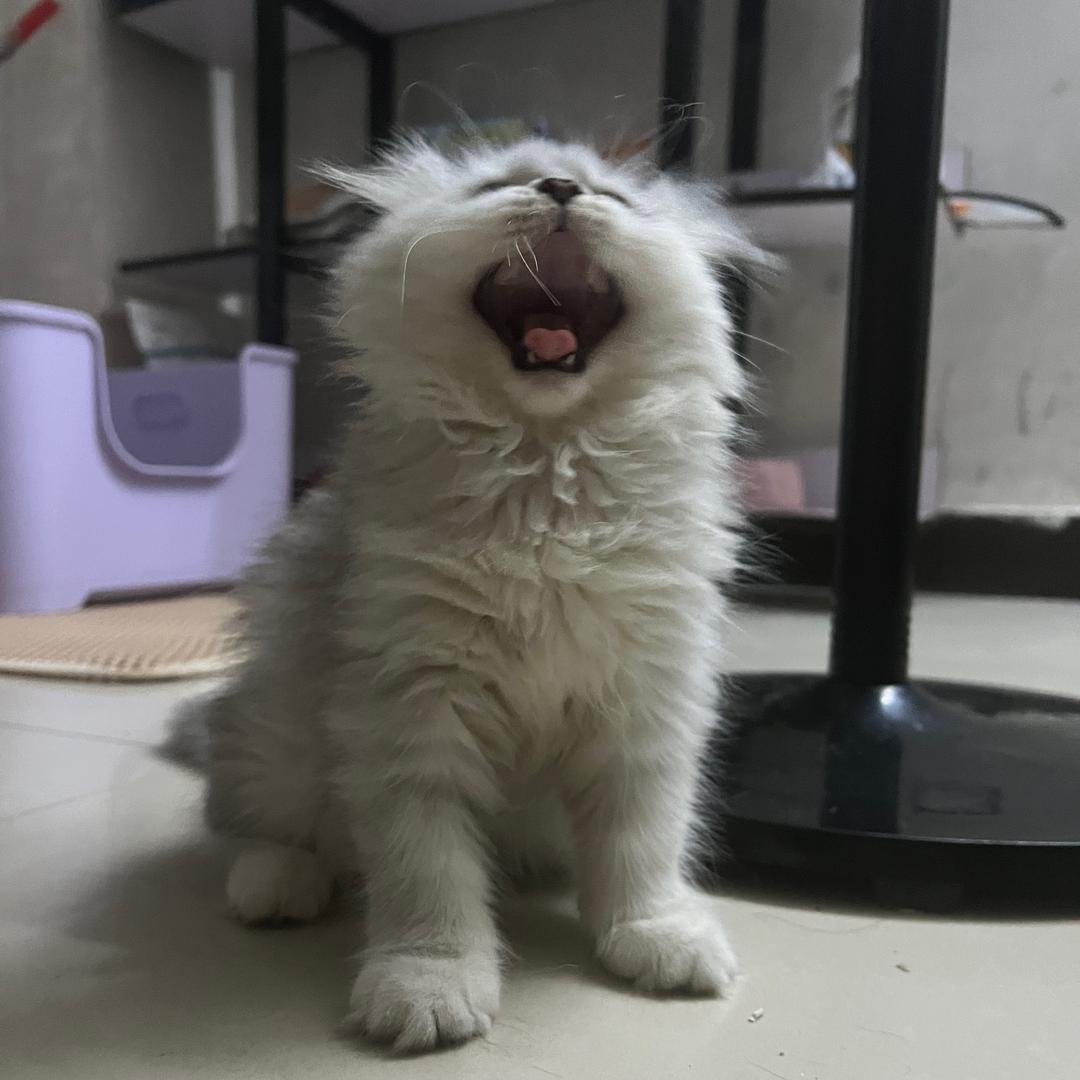 那如果你也破防呢？💕