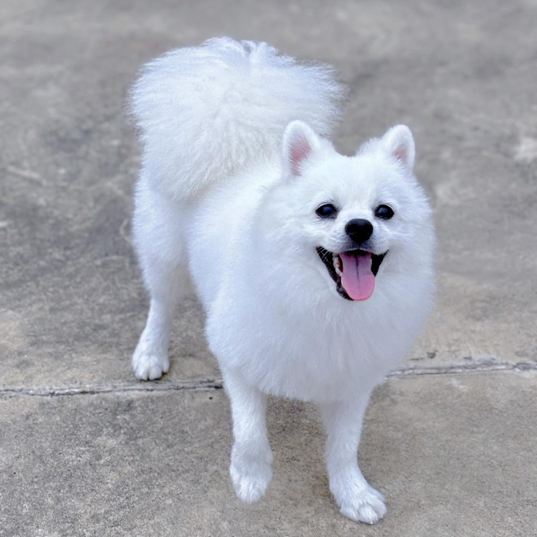 可乐没烦恼☀️