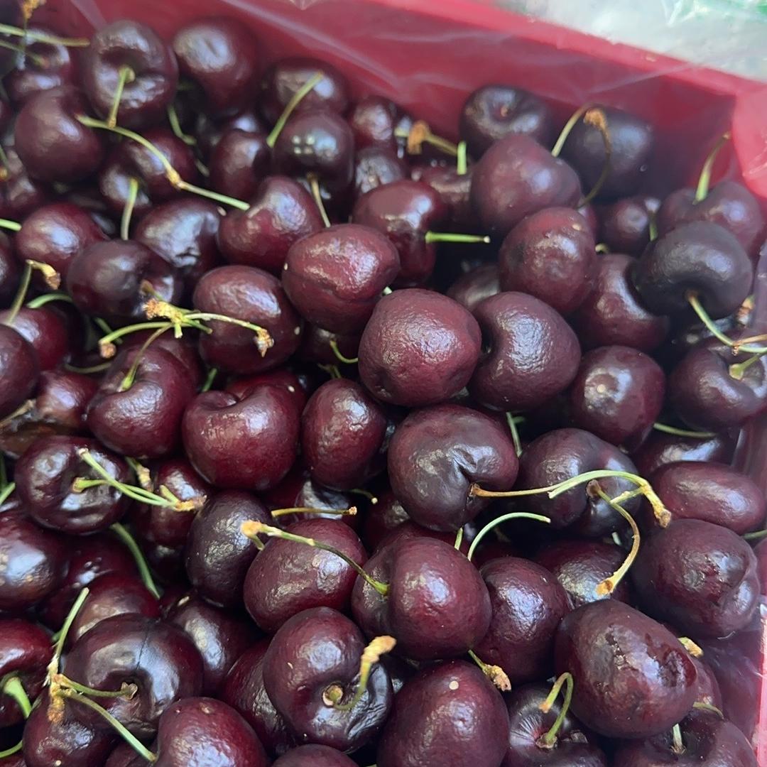 阿狸胖猫车厘子