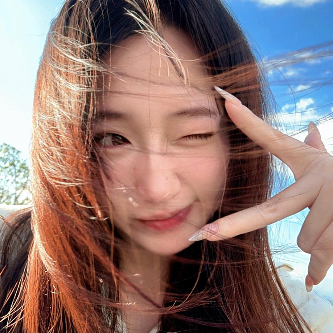 鹤译