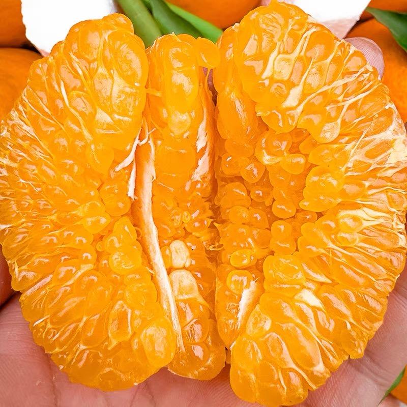 刘大姐的水果铺