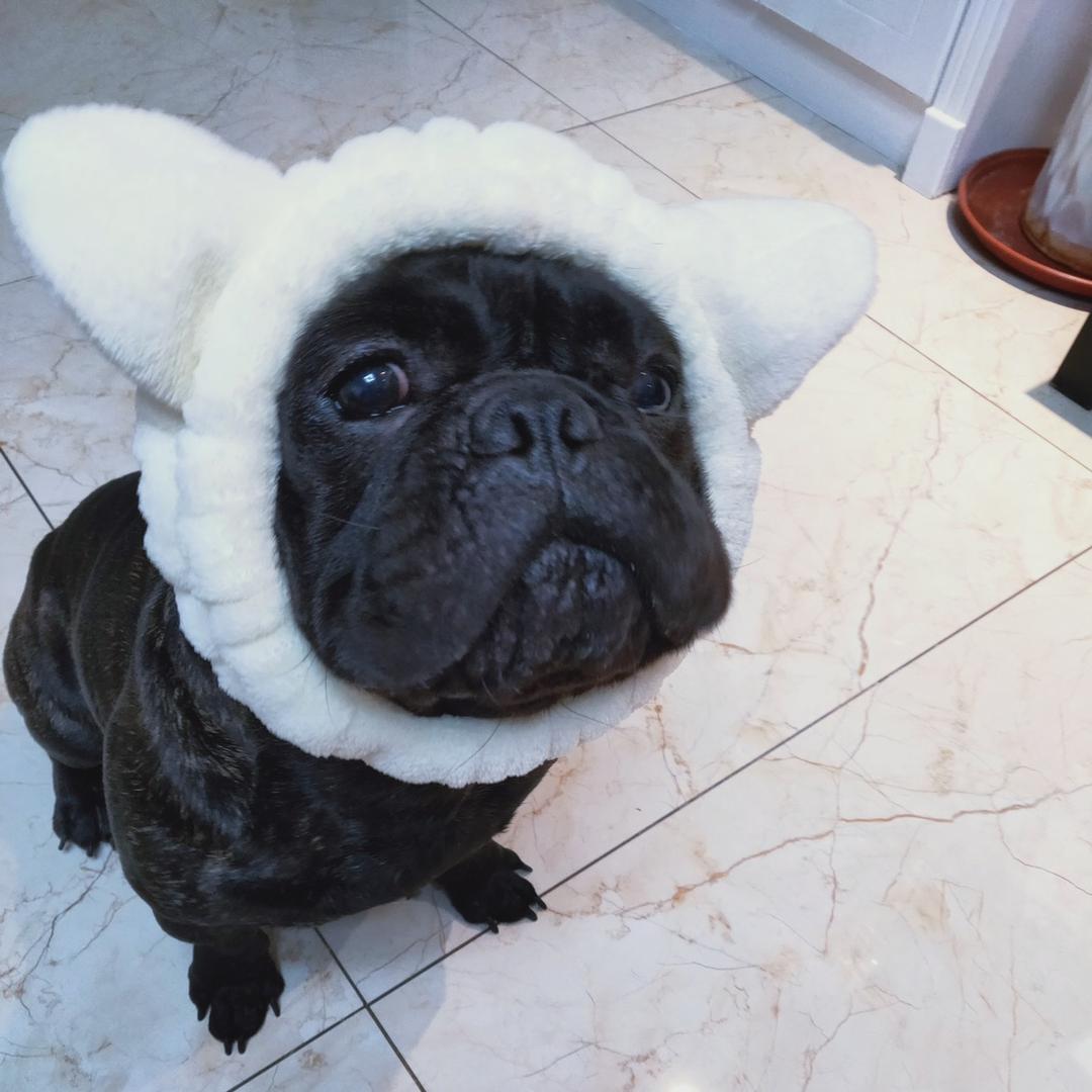 莹莹🐳