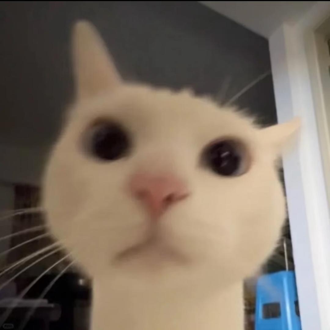 ㅤㅤㅤㅤ ㅤㅤㅤㅤ ㅤㅤㅤㅤ